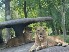 -北京野生动物园