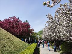 -元大都城垣遗址公园