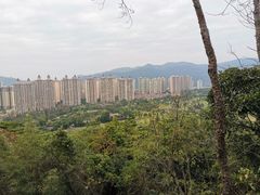 -罗三妹山