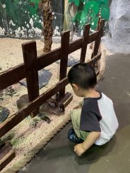 -Zoolung Zoolung动物主题公园(海信广场店)