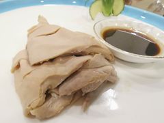 -椿不老