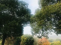 -虞山城墙