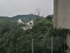 -帐篷客·溪龙茶谷度假酒店