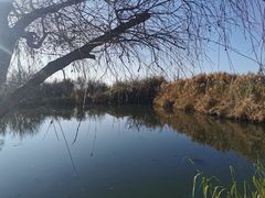 -捞渔河湿地公园