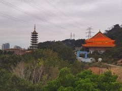 -仙岳公园