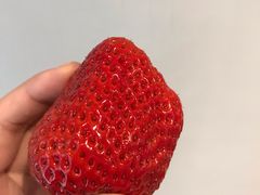 -海底捞火锅(青悦城店)