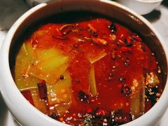 -雀蓝川菜(奥体广场店)