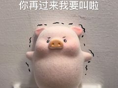 -九府羊·鲜羊火锅·烤串(新华路店)