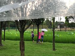 -洪湖家庭农场·团建·露营·会议