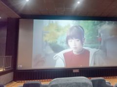 -华美国际影城(旧宫永辉店)