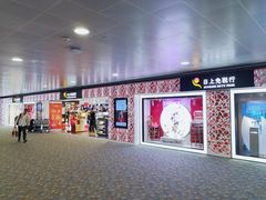 -日上免税行(浦东机场五店)
