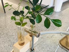 -香草山咖啡店·外教英语角·自习室(盛世商都店)