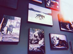 -百好乐宠物友好餐厅(朝外大街店)