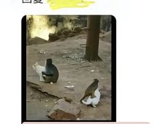 -昆明动物园