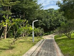 -白石龙音乐公园