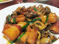 八爪鱼炖红烧肉-叶存利海鲜大馅饺子(海宁路总店)