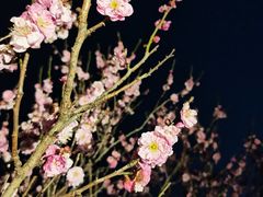 -无锡梅园公园