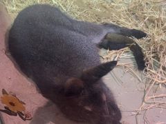 -正佳雨林生态植物园