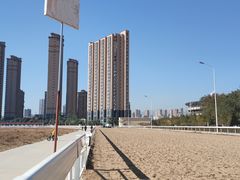-蒙古大营·蒙古演绎餐厅(赛马场店)