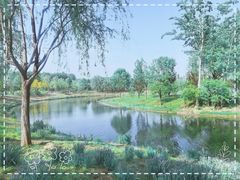 -东郊湿地公园
