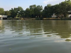 -九里河湿地公园