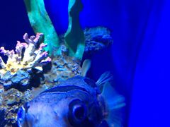 -华夏文旅西安度假区