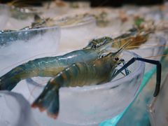 九节虾-半岛翡丽海鲜自助餐厅(观风亭店)