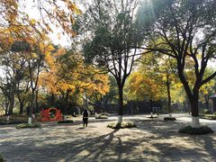 -西溪国家湿地公园