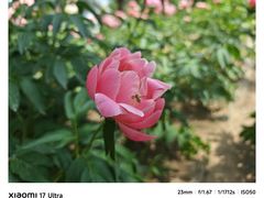 -石家庄市植物园
