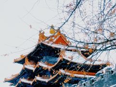 -故宫博物院(故宫)