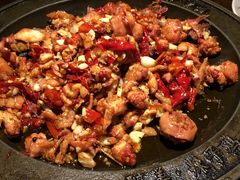 -天山醉美辣子鸡(文艺路店)