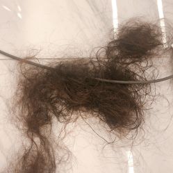 -潘多拉Hairsalon