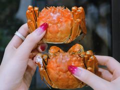 -蟹天蟹地农家菜·阳澄湖大闸蟹(浅水湾店)