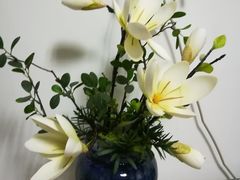 -清真老西北角温记粘食店(长沙路店)