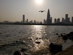 -深圳湾公园(南山区)
