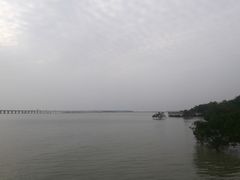 -宝安西湾红树林湿地公园