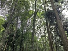-青城山