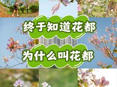-广东花都湖国家湿地公园