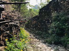 -水峪民俗村