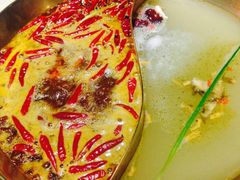 杨家火锅(青年路店)-杨家火锅(国美店)