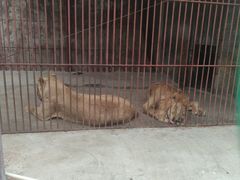 -田园寨农园观光园