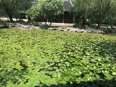 -天下玉苑