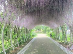 -同里国家湿地公园