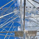 🔥沈阳情侣👫zui新约会圣地，南湖摩天轮🎡