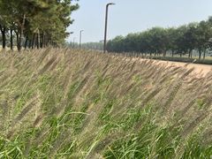 -汉长安城未央宫国家考古遗址公园