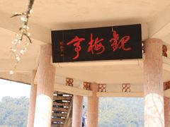 -广州市流溪河国家森林公园