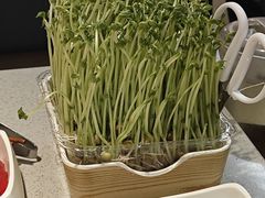 -海底捞火锅(群光广场店)