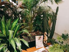 -云里小坐·小院里·团建·宴请·下午茶(三圣乡店)