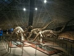 -世界恐龙谷景区