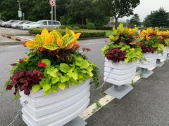 -上海汽车博览公园-北门停车场